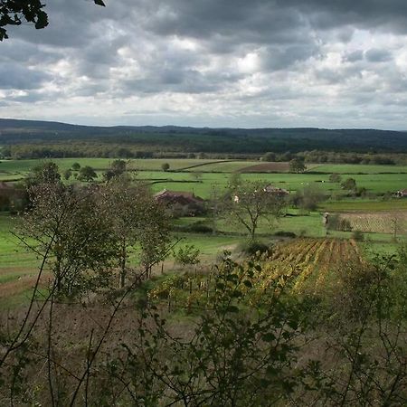 Vila Le Coeur Du Lys Chissey-les-Macon Exteriér fotografie