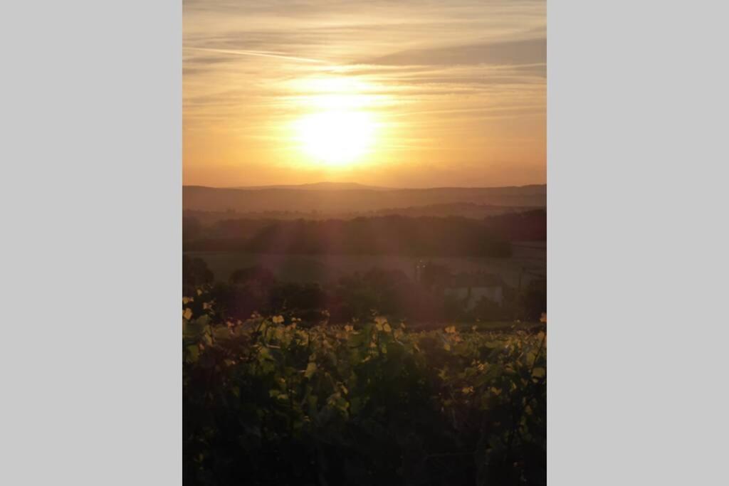 Vila Le Coeur Du Lys Chissey-les-Macon Exteriér fotografie