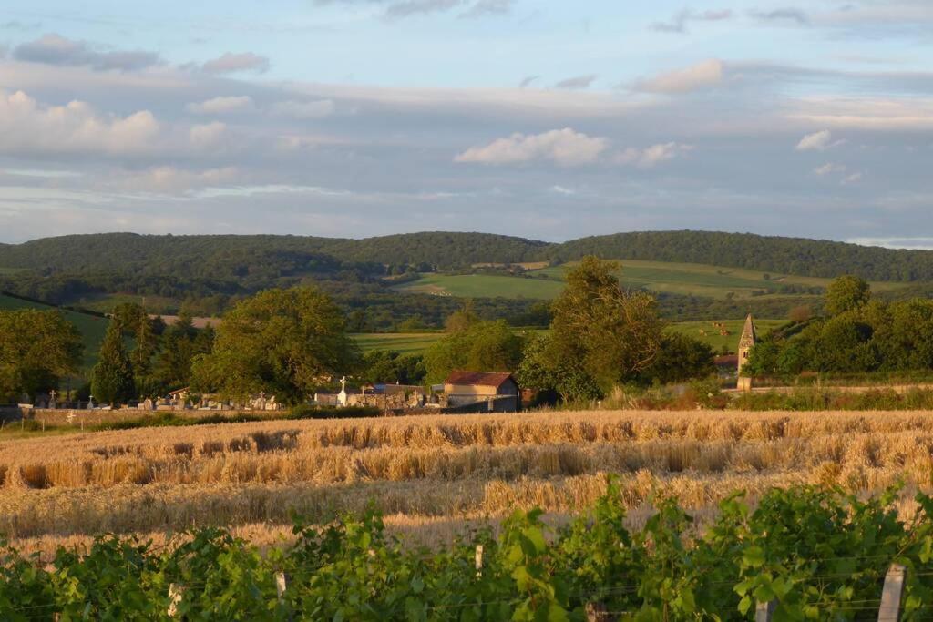 Vila Le Coeur Du Lys Chissey-les-Macon Exteriér fotografie